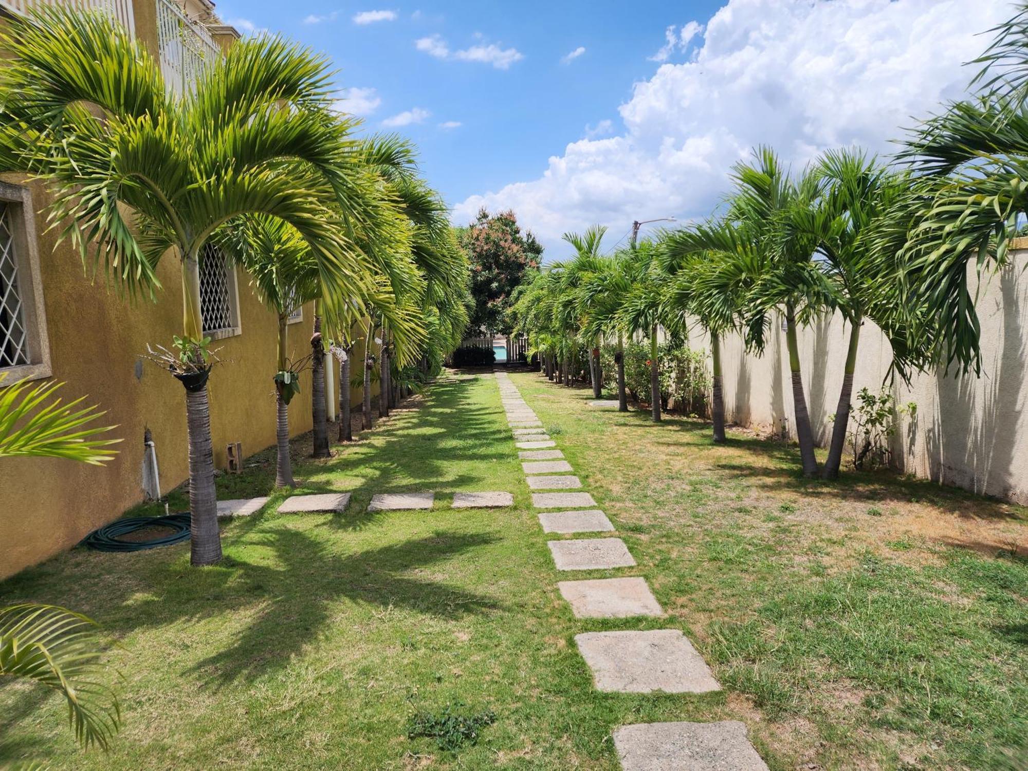 Bed and Breakfast Sweet Oasis Кингстон Экстерьер фото